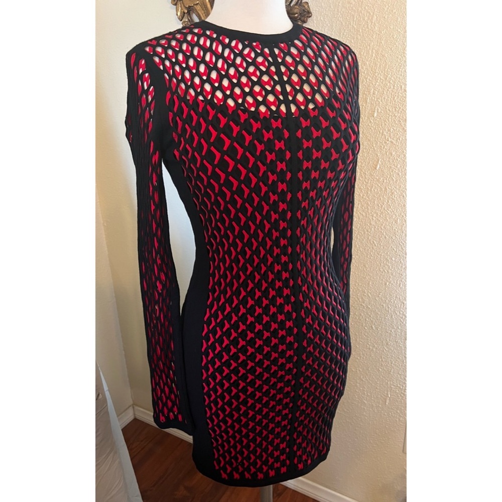 Rag & Bone Red & Black Net Dress